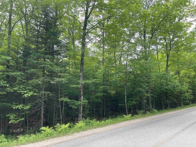 Land for sale in Manistique, Michigan