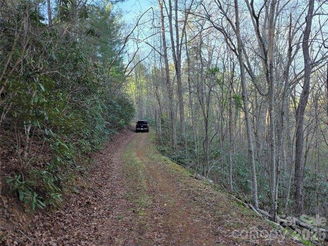 Land for sale in Marion, North Carolina