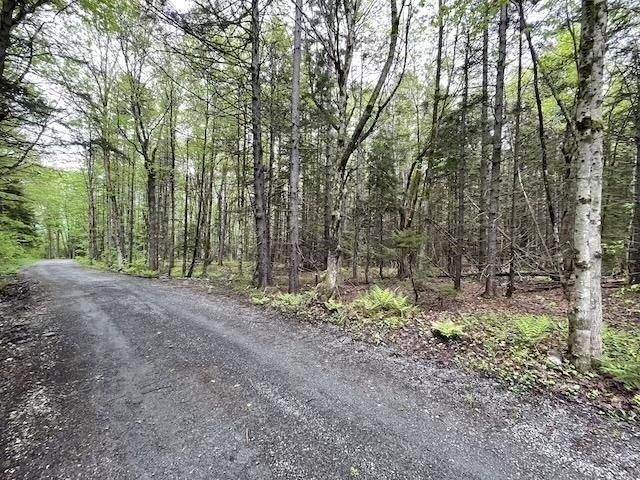 Land for sale in Marlboro, Vermont