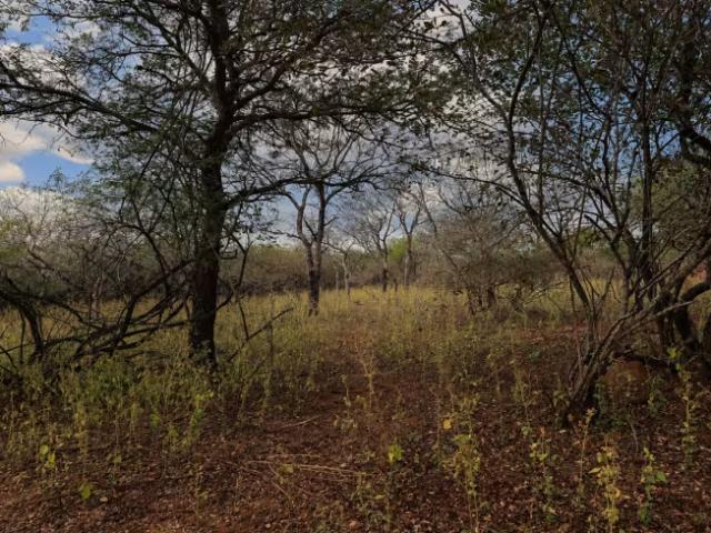 Land for sale in Ehlanzeni, Mpumalanga