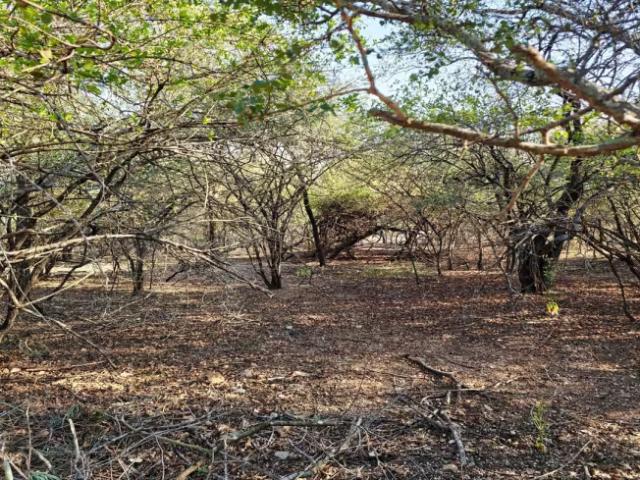 Land for sale in Ehlanzeni, Mpumalanga