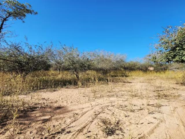 Land for sale in Ehlanzeni, Mpumalanga