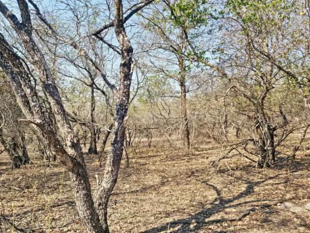 Land for sale in Marloth Park, Nkomazi