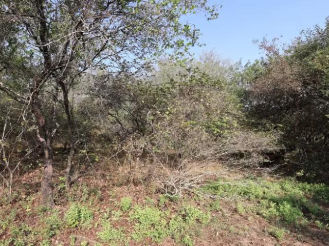 Land for sale in Ehlanzeni, Mpumalanga
