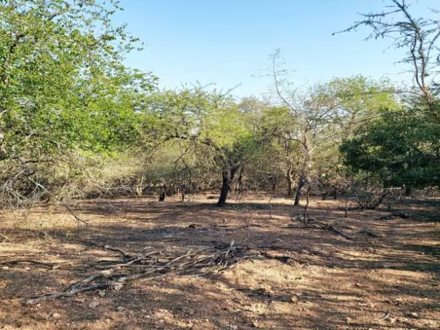 Land for sale in Ehlanzeni, Mpumalanga