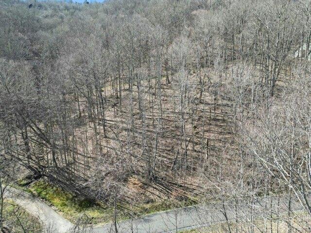 Land for sale in Yancey, North Carolina