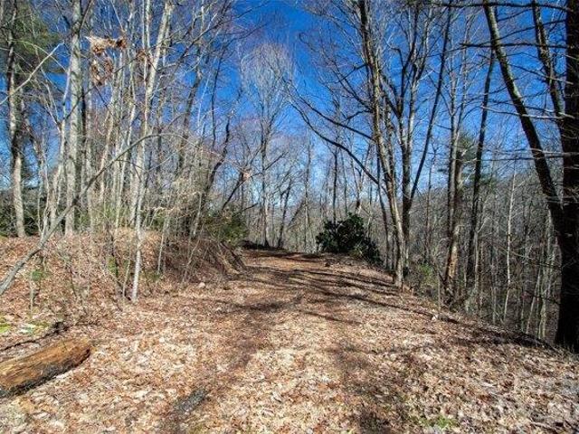 Land for sale in Marshall, North Carolina