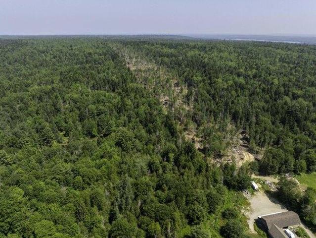 Land for sale in Maine