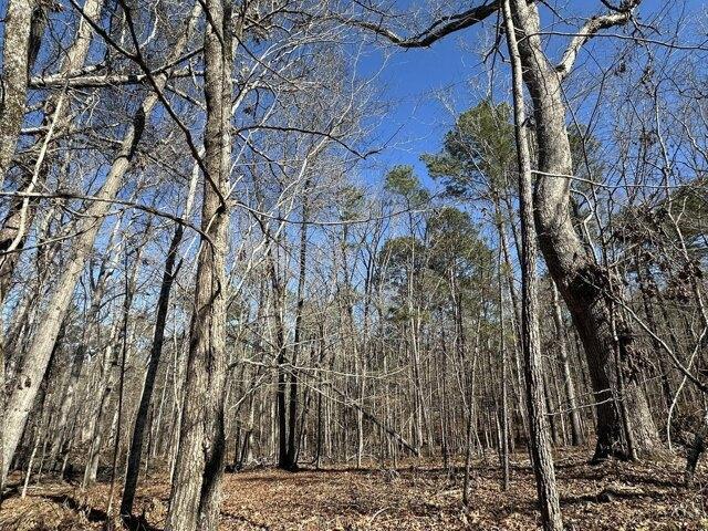 Land for sale in Mc Cormick, South Carolina