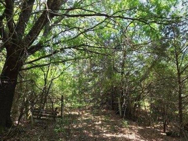 Land for sale in Mc Cormick, South Carolina