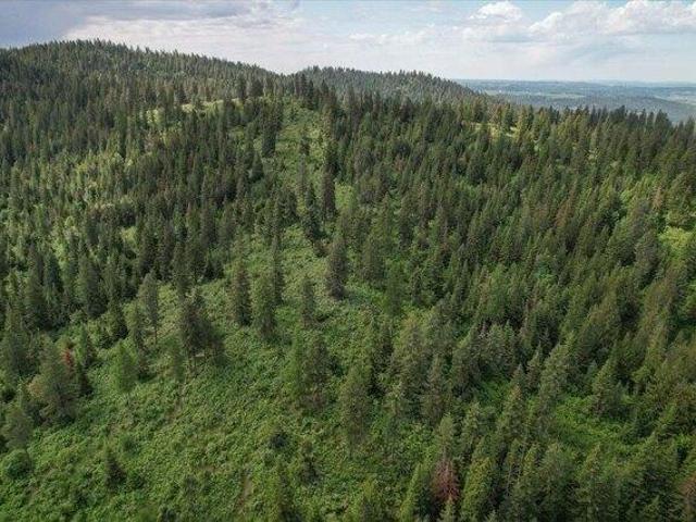 Land for sale in Mead