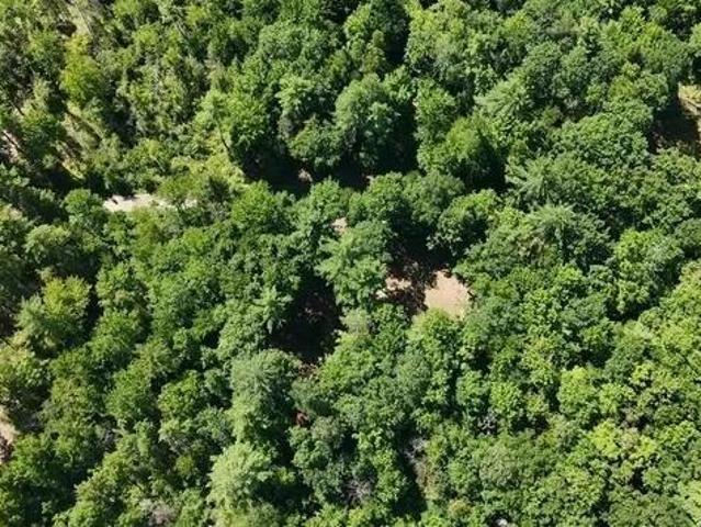Land for sale in Mechanic Falls, Androscoggin County