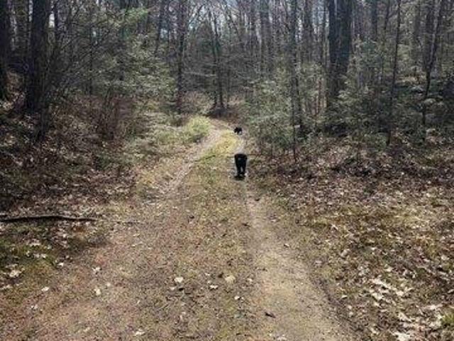 Land for sale in New Hampshire