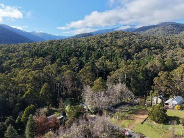 Land for sale in Merrijig, Shire of East Gippsland
