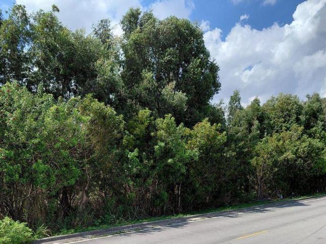 Land for sale in Miami, Florida