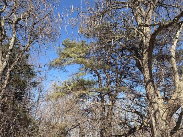 Land for sale in Michigan City, Indiana