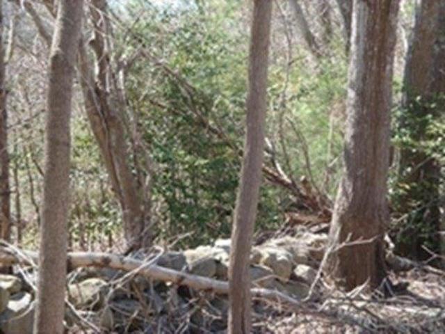 Land for sale in Middleboro, Massachusetts