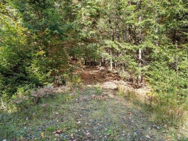 Land for sale in Vermont