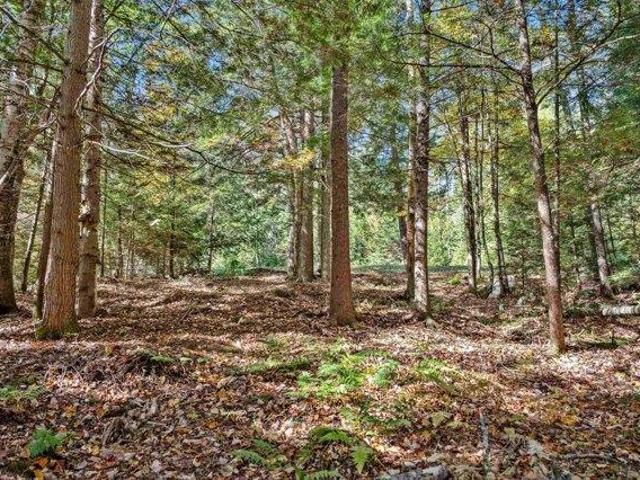 Land for sale in Vermont