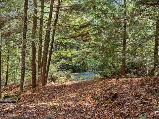 Land for sale in Vermont