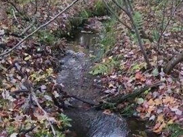 Land for sale in Dummer, Milan