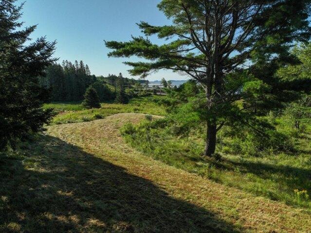 Land for sale in Milbridge, Maine