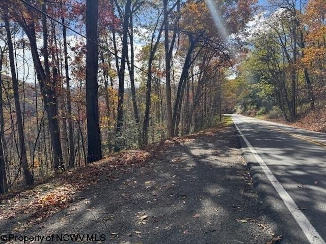 Land for sale in Mill Creek, West Virginia