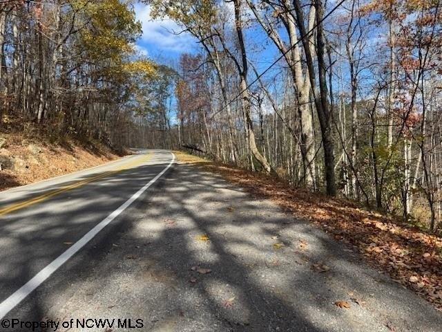 Land for sale in Mill Creek, West Virginia