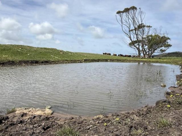 Land for rent in Millicent, South Australia