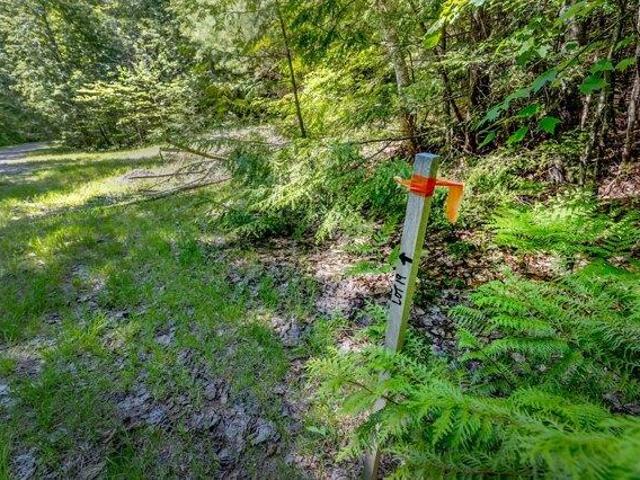 Land for sale in Millinocket, Maine