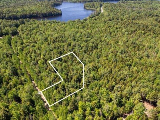 Land for sale in Rice Farm, Millinocket