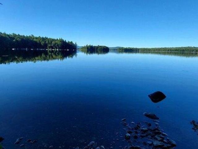 Land for sale in T1 R8 WELS, Penobscot County