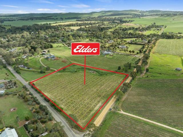 Land for sale in Stanley, Mintaro