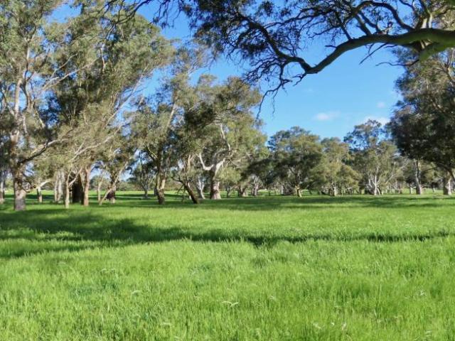 Land for rent in Comaum, South Australia