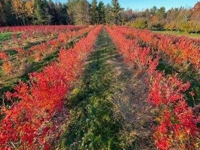 Land for sale in Monmouth, Maine