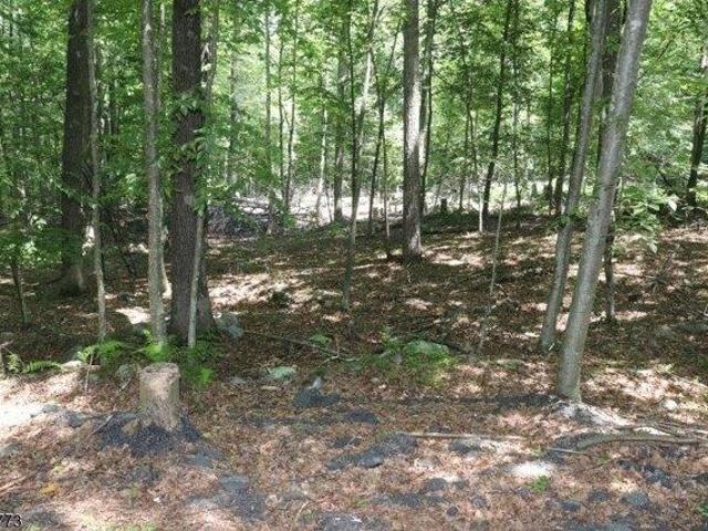 Land for sale in Montague Township, Sussex County