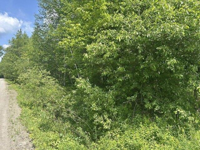 Land for sale in Montgomery, Vermont