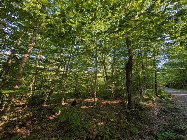 Land for sale in Montgomery, Vermont