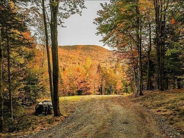 Land for sale in Westfield, Vermont