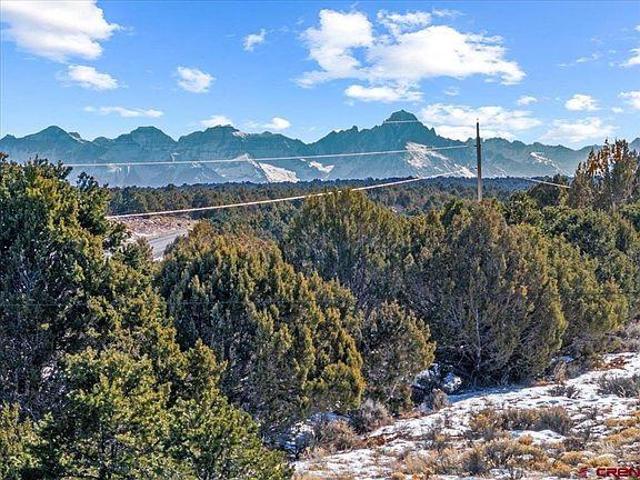 Land for sale in Montrose, Colorado