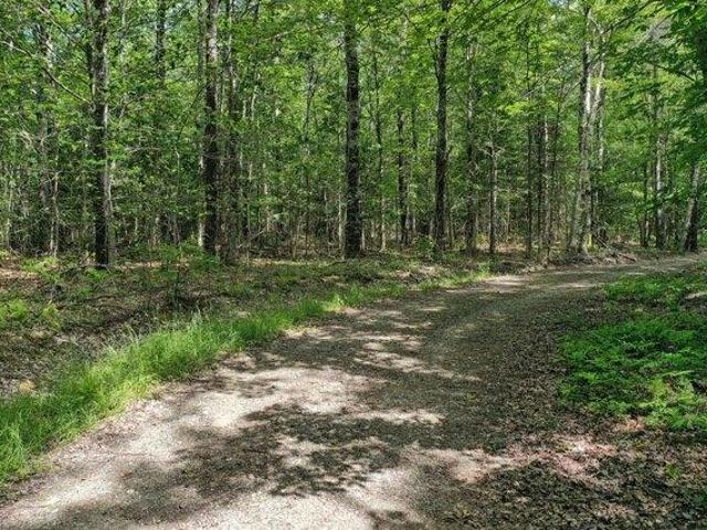 Land for sale in Waldo, Maine