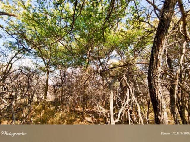 Land for sale in Mookgopong Local Municipality, Waterberg District Municipality