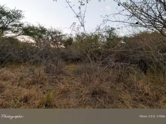 Land for sale in Mookgopong Local Municipality, Waterberg District Municipality