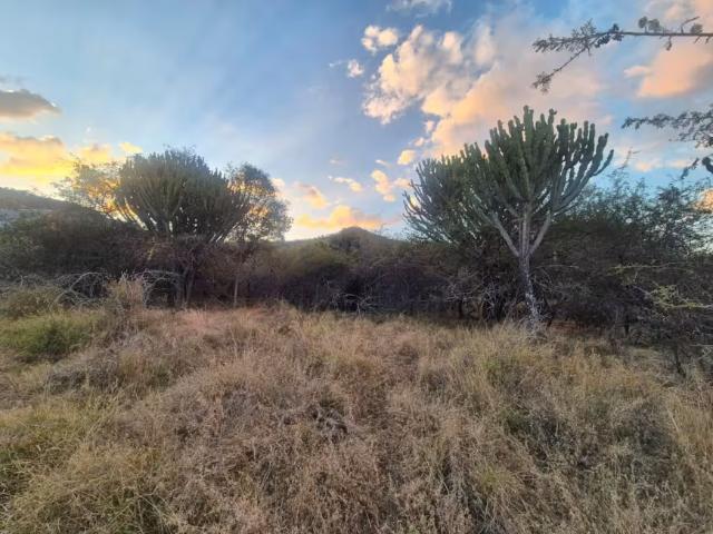 Land for sale in Mookgopong Local Municipality, Waterberg District Municipality