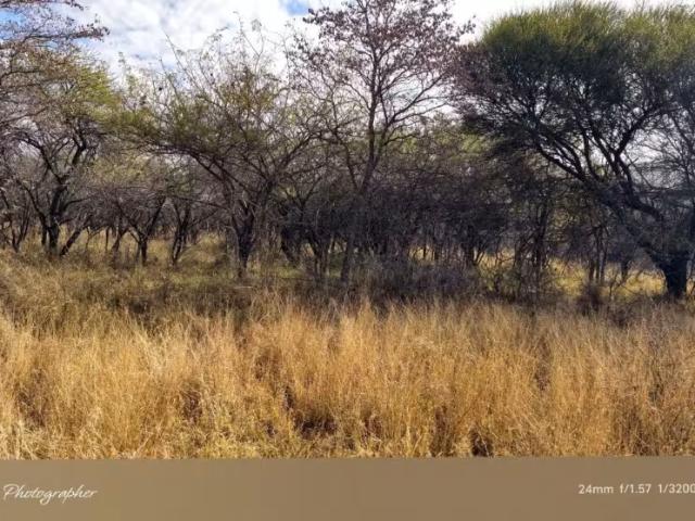 Land for sale in Mookgopong Local Municipality, Waterberg District Municipality