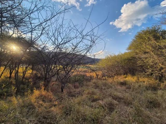 Land for sale in Mookgopong Local Municipality, Waterberg District Municipality