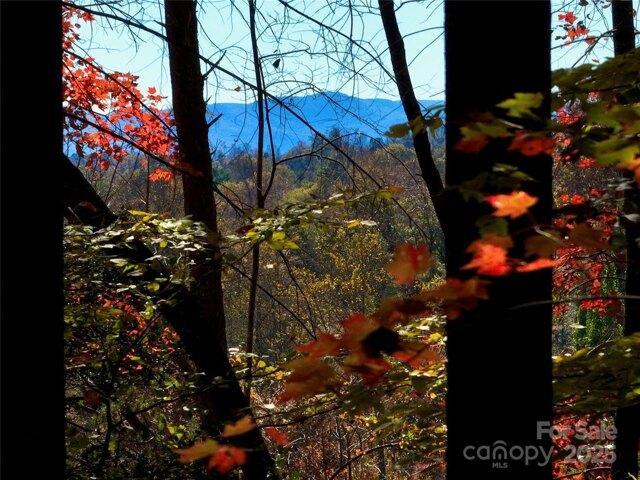 Land for sale in Morganton, North Carolina