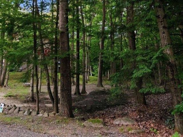 Land for sale in New Hampshire