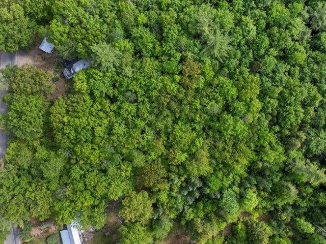 Land for sale in New Hampshire