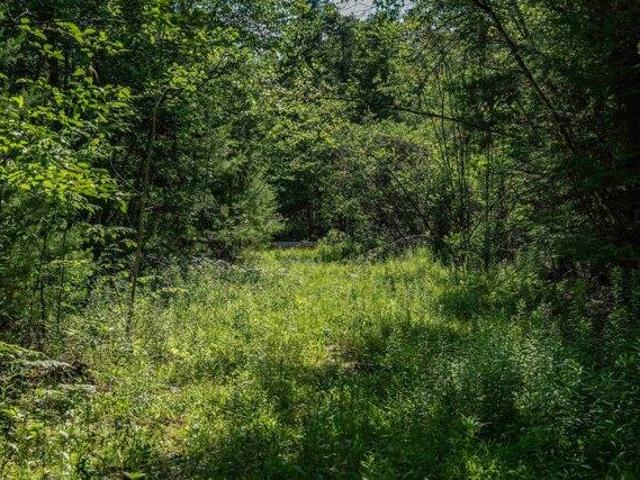 Land for sale in New Hampshire